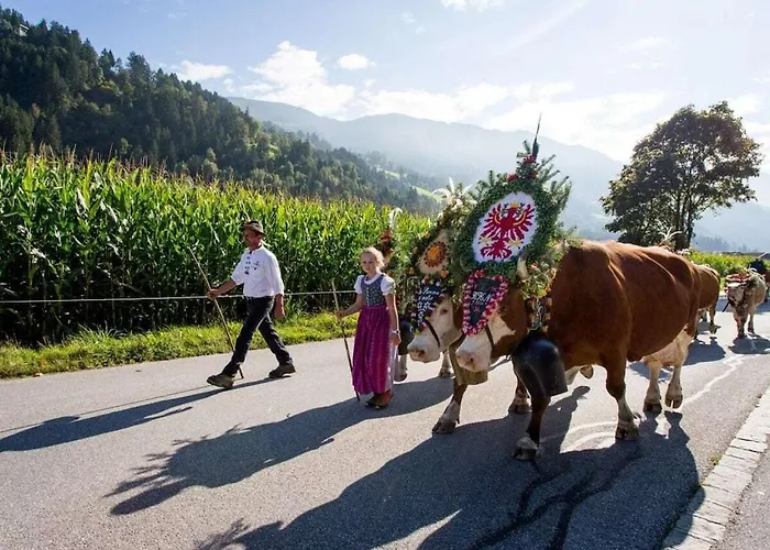 Weberer Hébergement de vacances